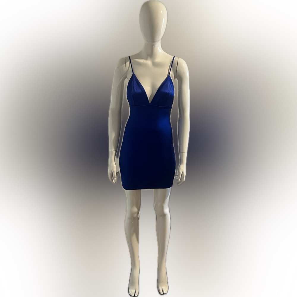Fashion Nova Come and See Me Babe Mini Dress (Satin)